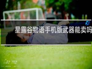 星露谷物语手机版武器能卖吗