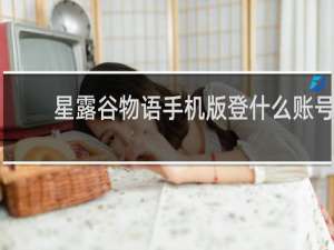 星露谷物语手机版登什么账号