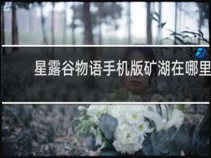 星露谷物语手机版矿湖在哪里