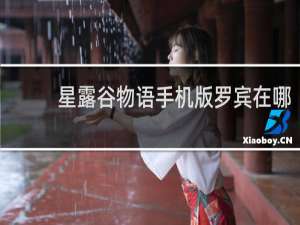 星露谷物语手机版罗宾在哪