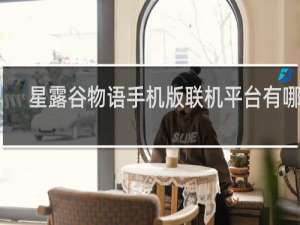 星露谷物语手机版联机平台有哪些