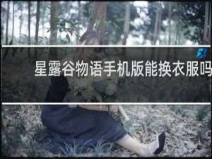 星露谷物语手机版能换衣服吗
