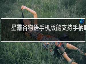 星露谷物语手机版能支持手柄吗