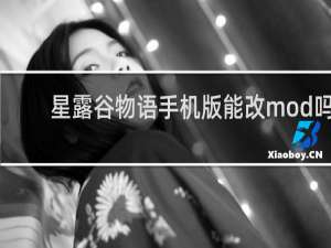 星露谷物语手机版能改mod吗