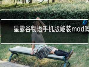 星露谷物语手机版能装mod吗