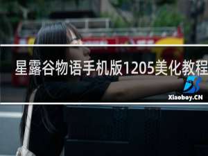 星露谷物语手机版1 5美化教程ios