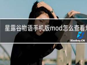 星露谷物语手机版mod怎么查看爆红