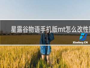 星露谷物语手机版mt怎么改性别