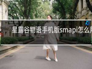 星露谷物语手机版smapi怎么用