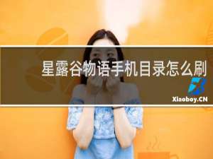 星露谷物语手机目录怎么刷