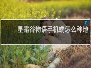 星露谷物语手机端怎么种地