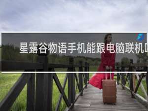 星露谷物语手机能跟电脑联机吗