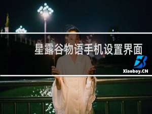 星露谷物语手机设置界面