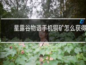 星露谷物语手机铜矿怎么获得