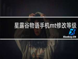 星露谷物语手机mt修改等级