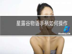 星露谷物语手柄如何操作