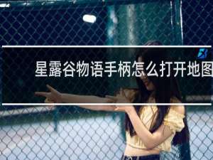 星露谷物语手柄怎么打开地图