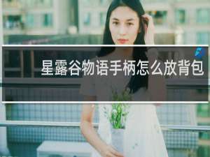 星露谷物语手柄怎么放背包