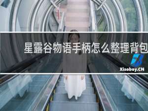 星露谷物语手柄怎么整理背包