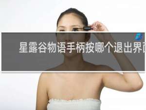 星露谷物语手柄按哪个退出界面