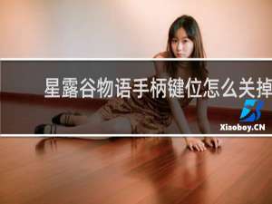 星露谷物语手柄键位怎么关掉