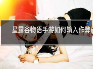 星露谷物语手游如何输入作弊码
