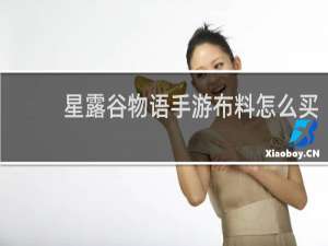 星露谷物语手游布料怎么买