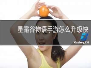 星露谷物语手游怎么升级快