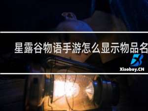 星露谷物语手游怎么显示物品名称