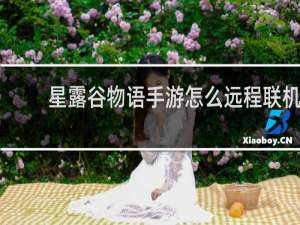 星露谷物语手游怎么远程联机