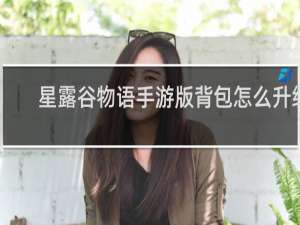 星露谷物语手游版背包怎么升级