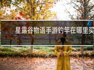星露谷物语手游钓竿在哪里买