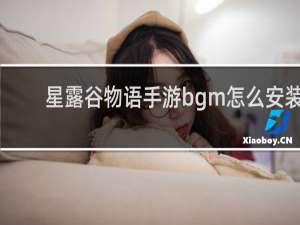 星露谷物语手游bgm怎么安装