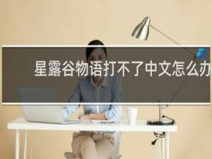 星露谷物语打不了中文怎么办