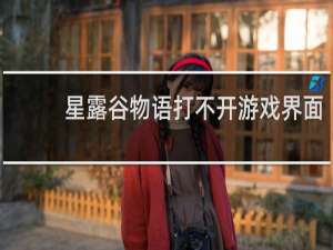 星露谷物语打不开游戏界面