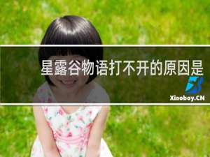 星露谷物语打不开的原因是