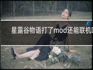 星露谷物语打了mod还能联机吗