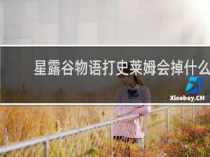 星露谷物语打史莱姆会掉什么