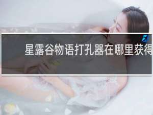 星露谷物语打孔器在哪里获得