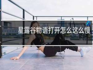 星露谷物语打开怎么这么慢
