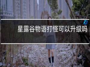 星露谷物语打怪可以升级吗