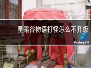 星露谷物语打怪怎么不升级