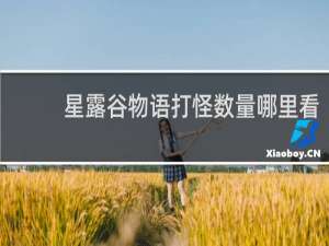 星露谷物语打怪数量哪里看