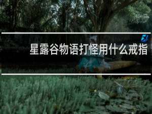 星露谷物语打怪用什么戒指