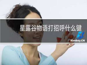 星露谷物语打招呼什么键