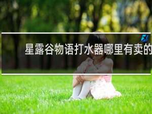 星露谷物语打水器哪里有卖的
