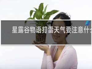 星露谷物语打雷天气要注意什么
