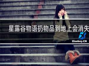 星露谷物语扔物品到地上会消失吗