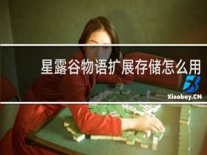 星露谷物语扩展存储怎么用