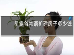 星露谷物语扩建房子多少钱